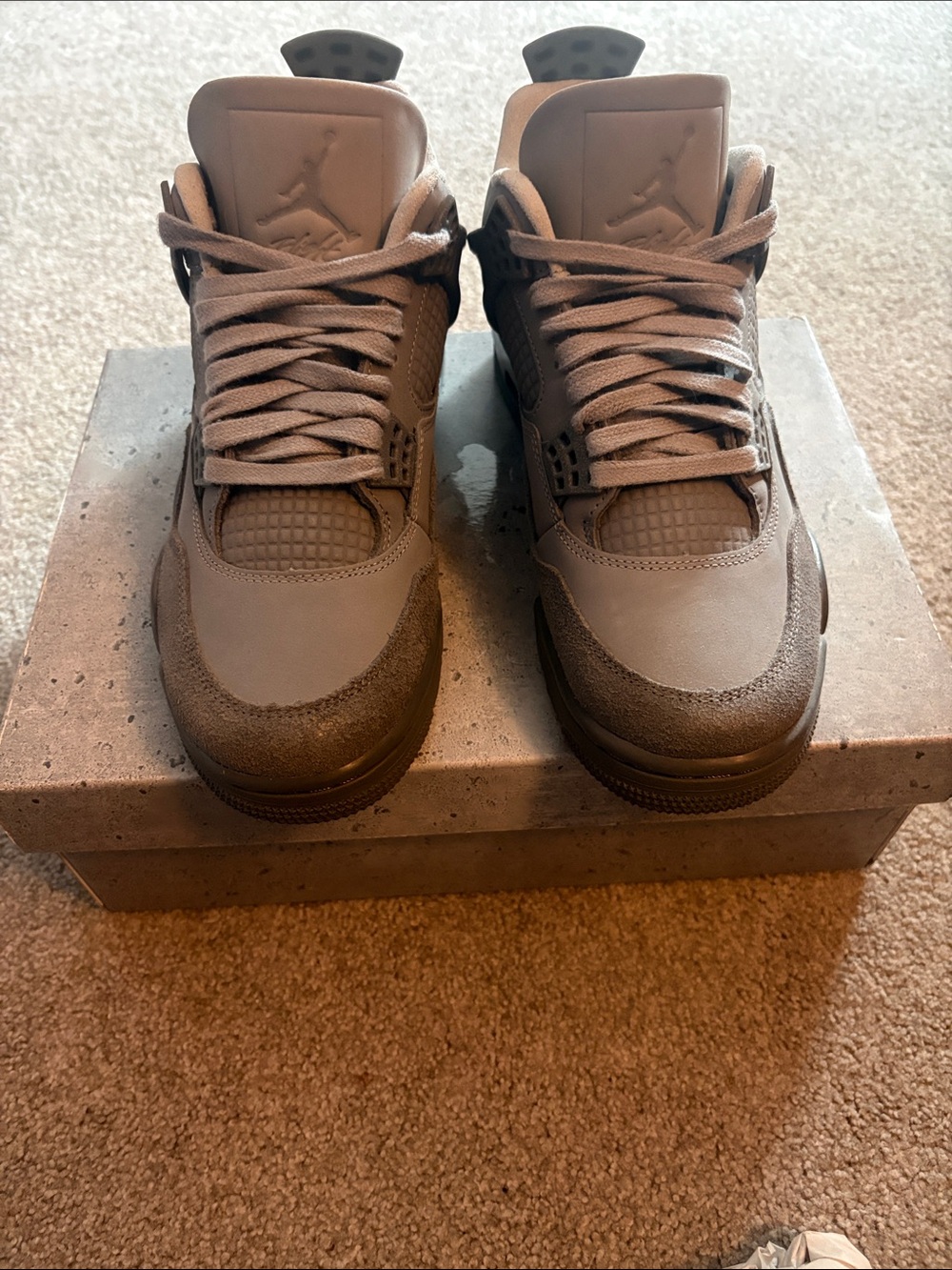 Jordan Sneakers in Gray and Brown Tones